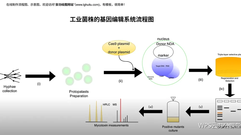 数据录入规范:从源头减少返工