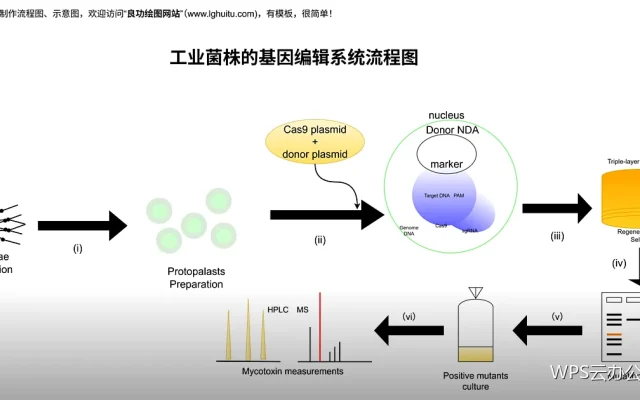 数据录入规范：从源头减少返工